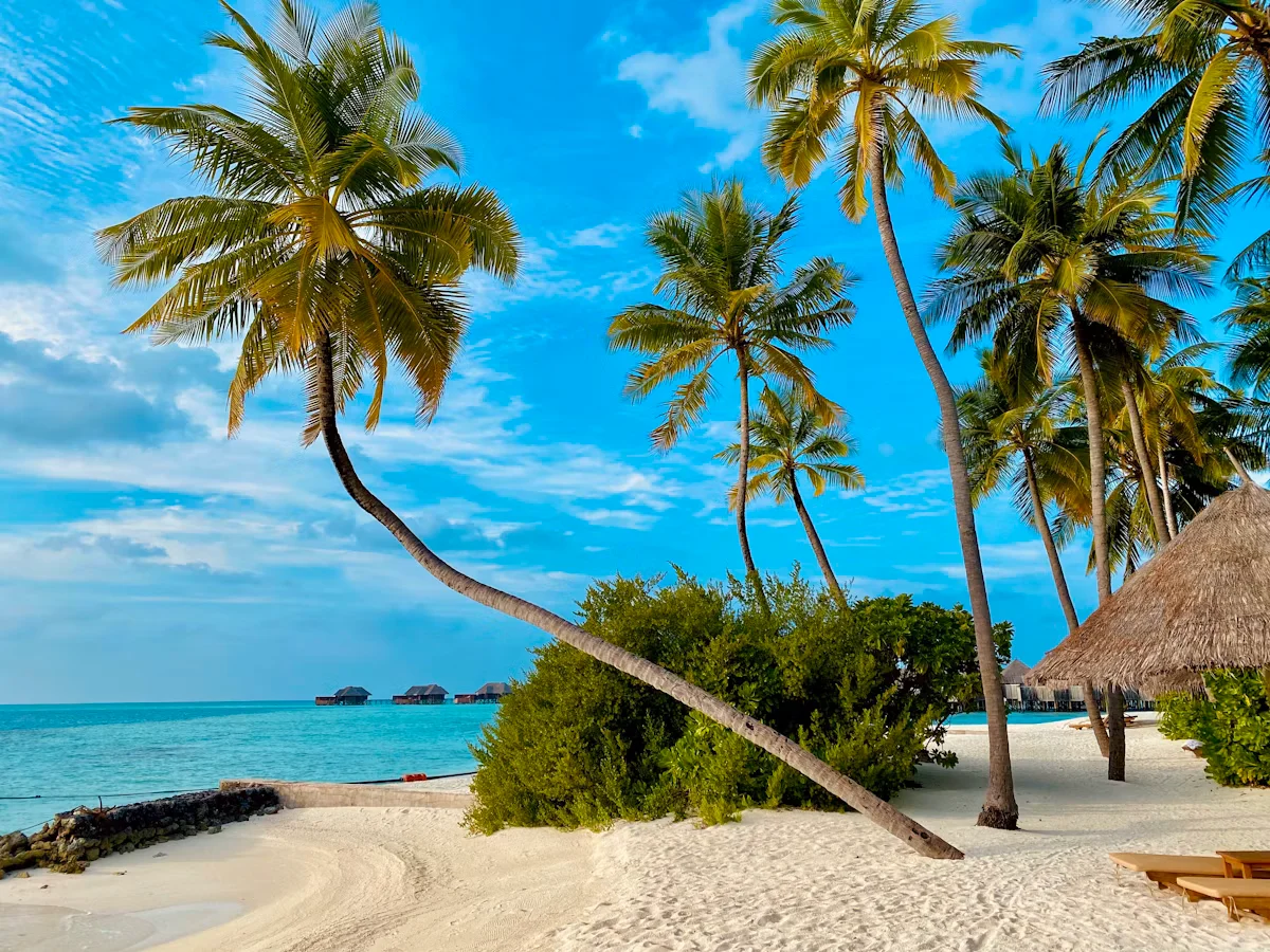Overwater bungalows on coral lagoon, Momi Bay Viti Levu Fiji