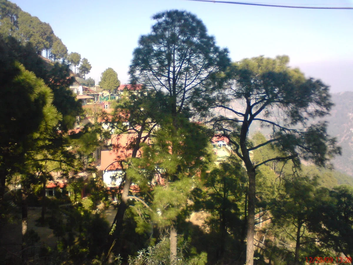 Kasauli hill station, Himachal Pradesh, India — The Highlands villas