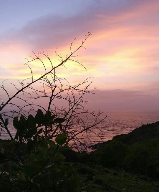 Chapora Fort and north Goa coastline — Tata Housing Gateway villas
