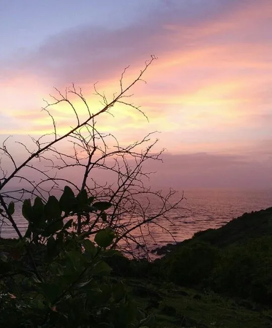 Tata Housing Gateway, Goa: Branded Villas and Cottages from India's Most Trusted Developer