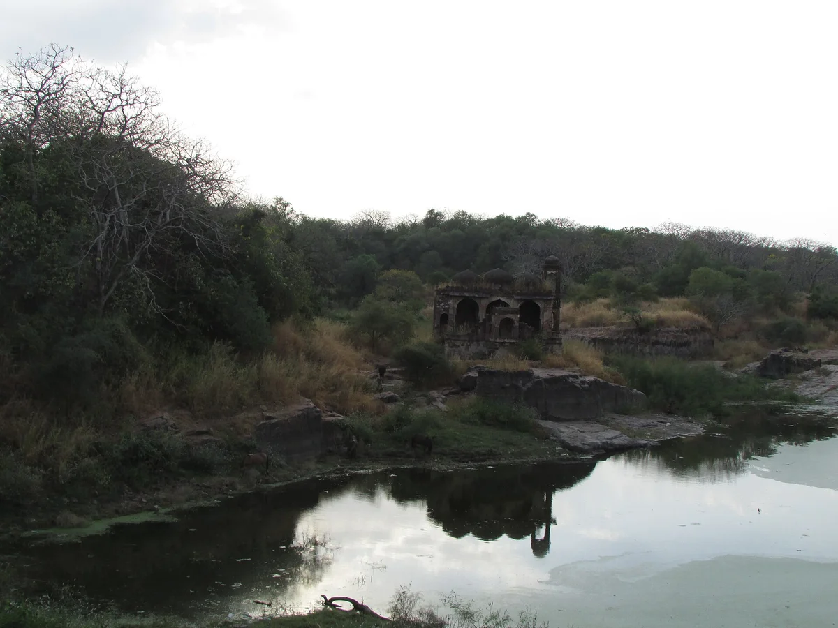 Ranthambore Fort, Sawai Madhopur, Rajasthan — near Six Senses Fort Barwara