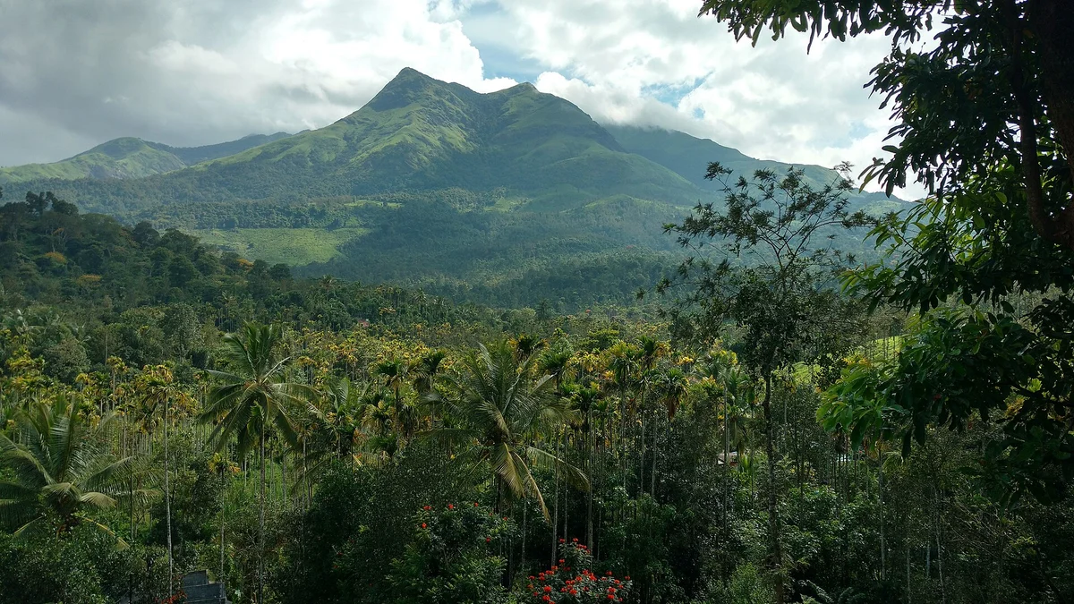 Chembra Peak, Wayanad, Kerala — Tranquil Resort area