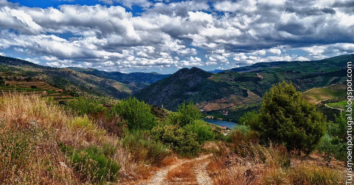 Douro Valley terraced vineyards, northern Portugal — Six Senses Douro Valley