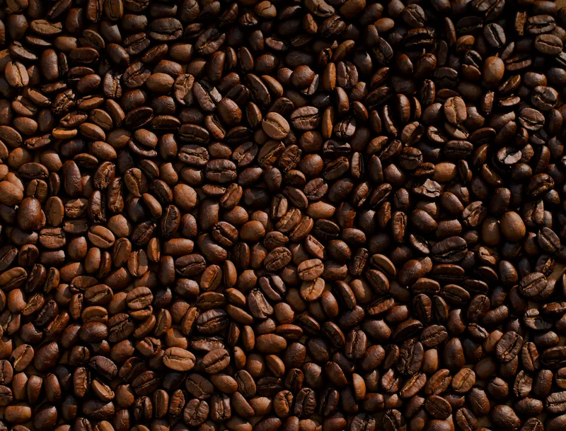 Owning a Coffee Farm in Hawaii: A Guide to Fee Simple and Other Legal Models