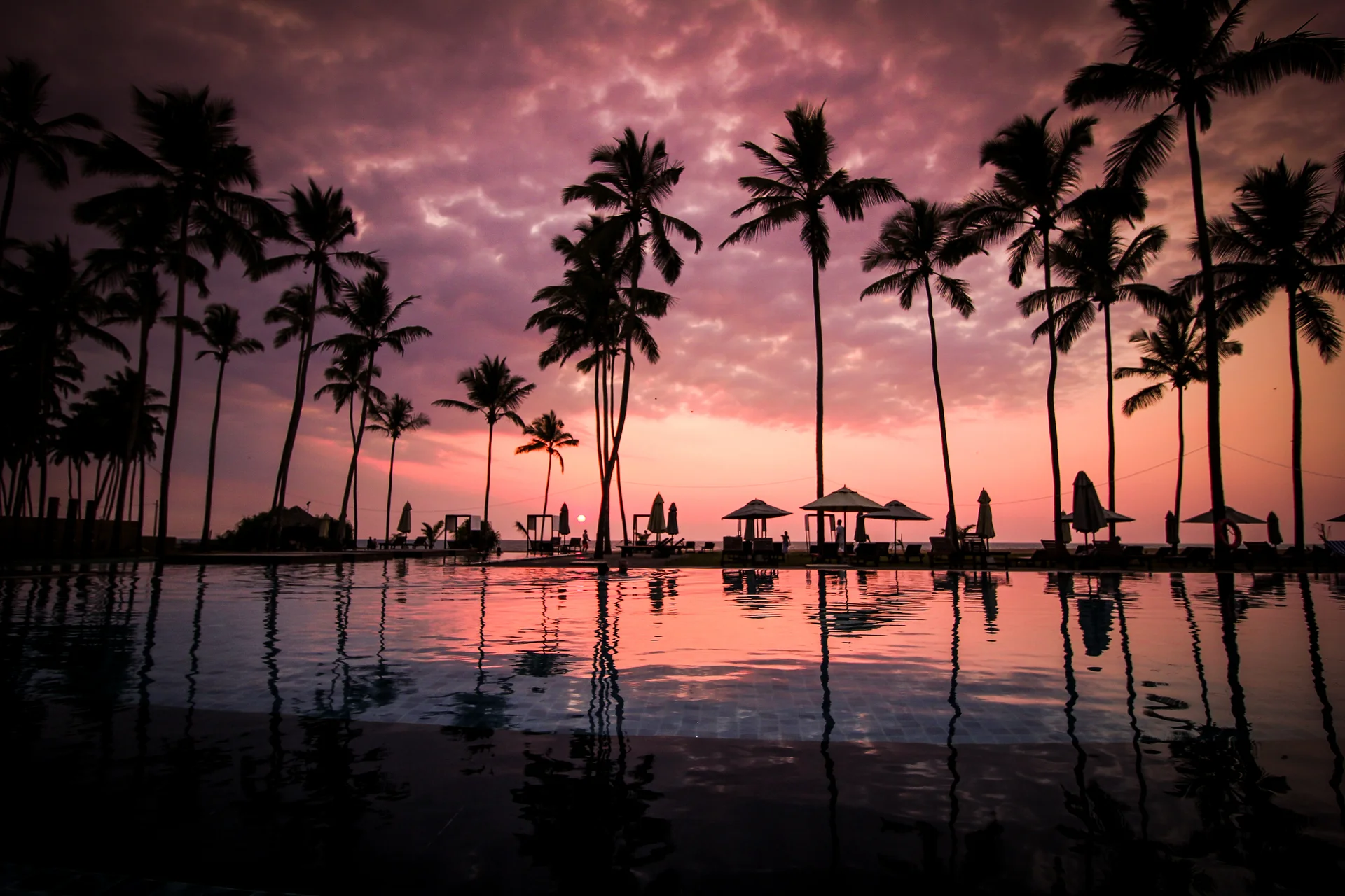 Tropical beach resort with palm trees
